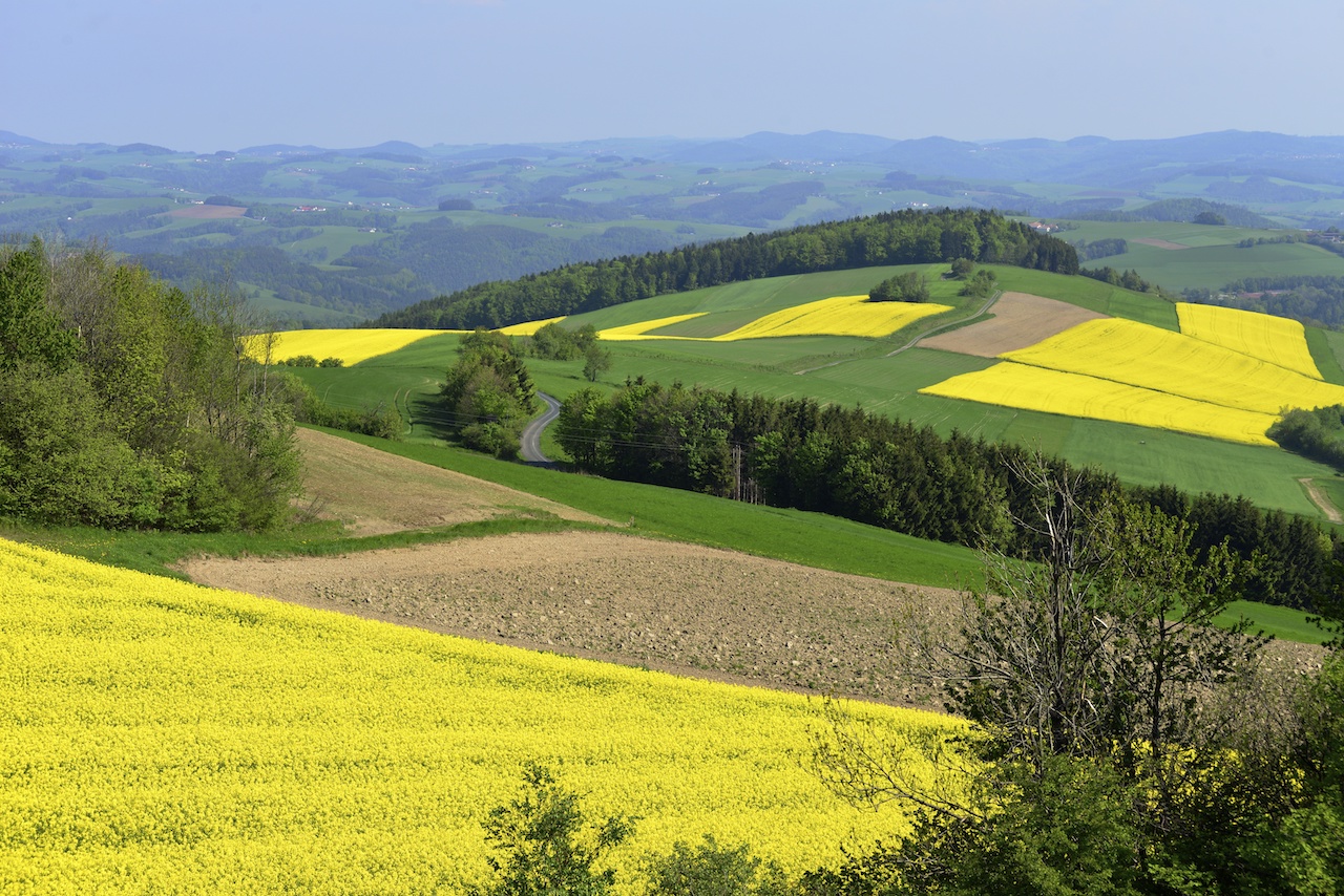 Www.burgenland.info