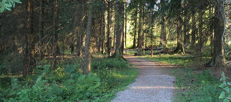 Landhaus Wald